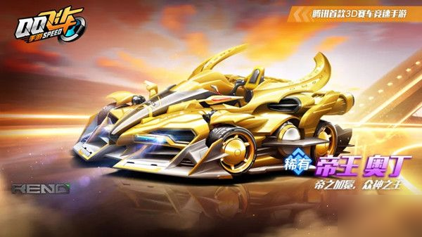 定性与决定